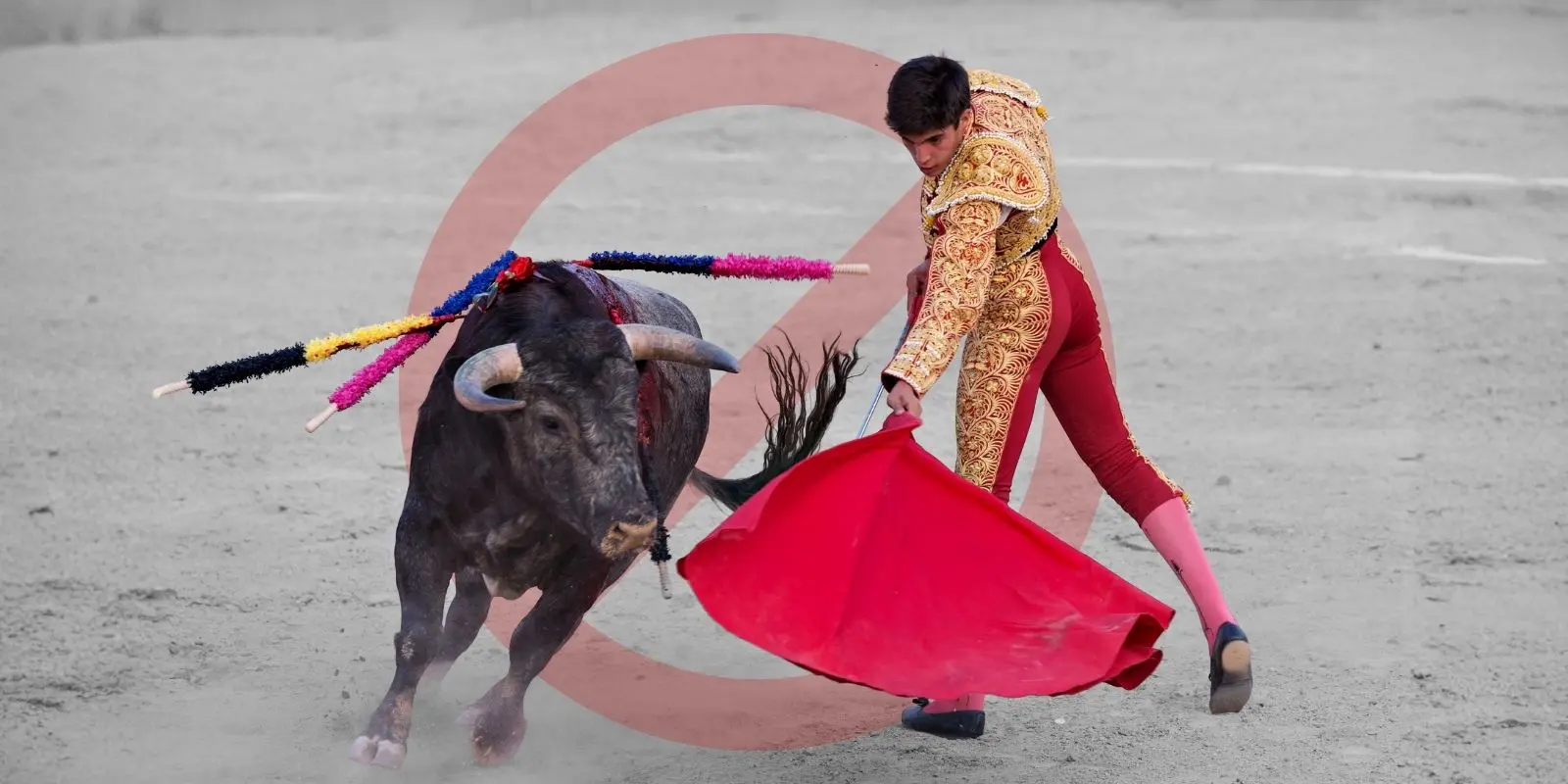 Suspenden corridas de toros en Juárez tras amparo federal