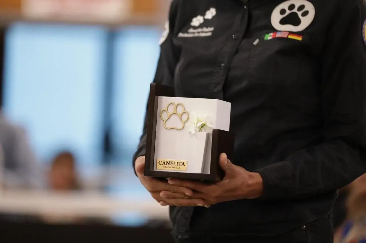 Reconoce Juárez a los animales como seres sintientes