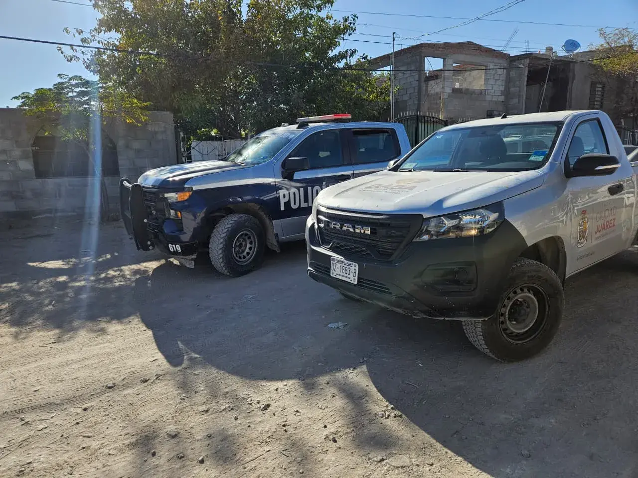 Resguardan cuerpo de perrito asesinado este viernes; Suman 12 en un año 