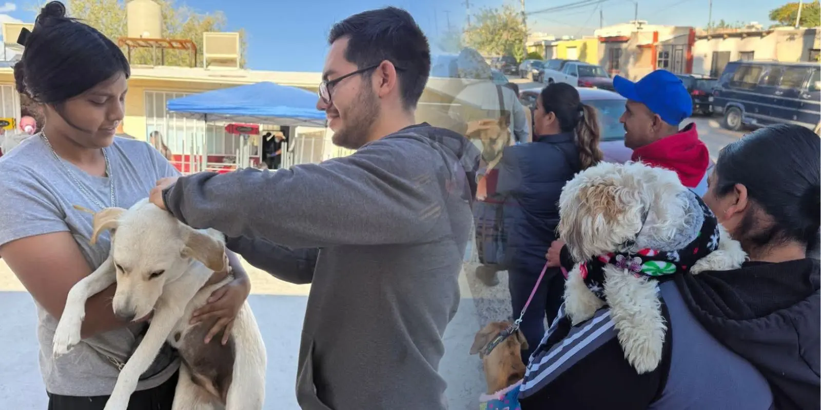 Realizan 530 esterilizaciones en jornada este fin de semana