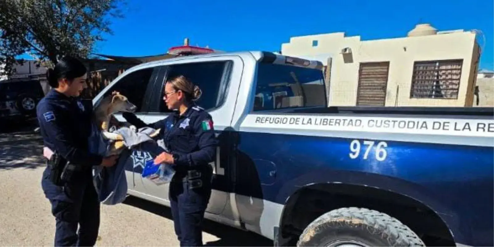 Policías rescatan a perrito herido; Agente lo adopta