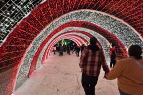 «Navidad a lo Mexa» ofrece actividades para disfrutar en familia