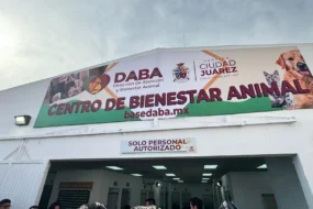 Rehabilitan Centro de Bienestar Animal